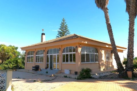 Finca i Dolores, Alicante, Dolores - € 374.950 | Ref: 30O994841 - foto 8